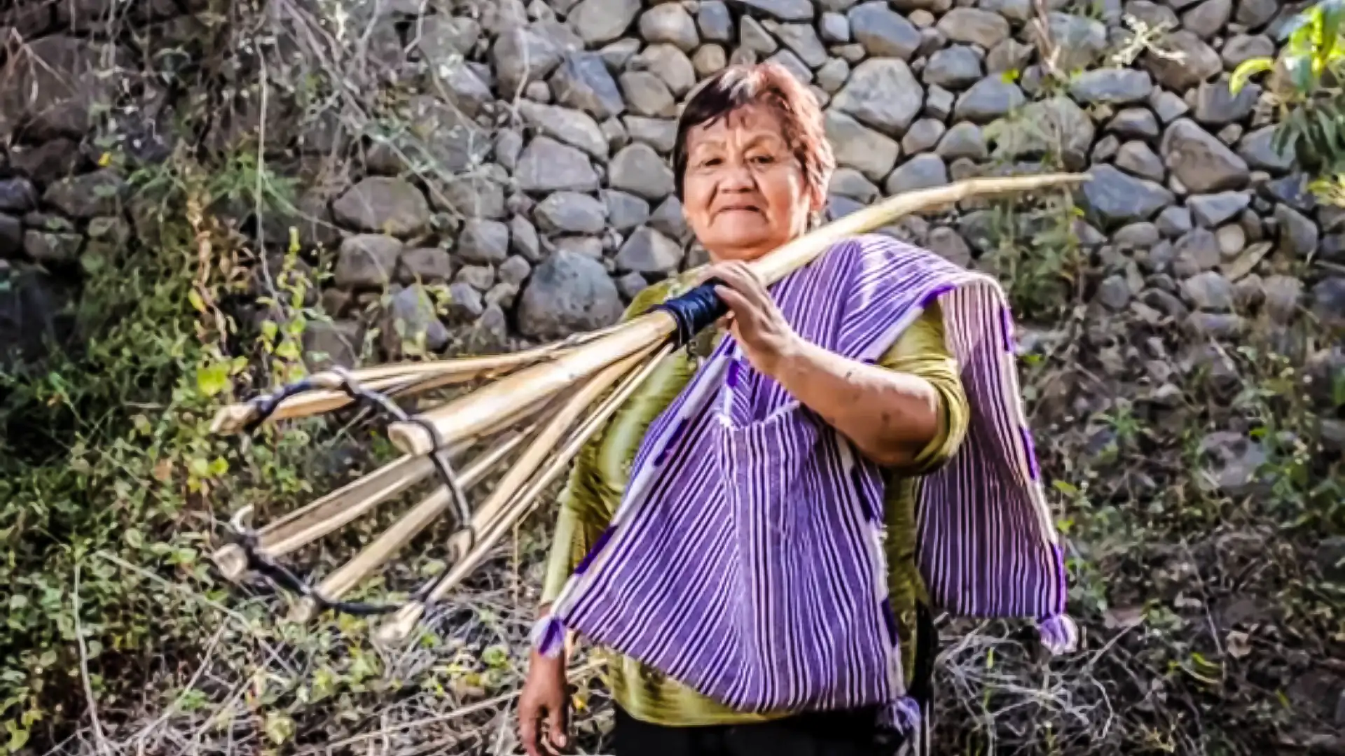 Dora Orellana: La Embajadora de la Chirimoya Orgánica en el Perú